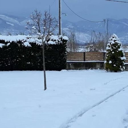 Appartamento Galini Estate Kardítsa Esterno foto