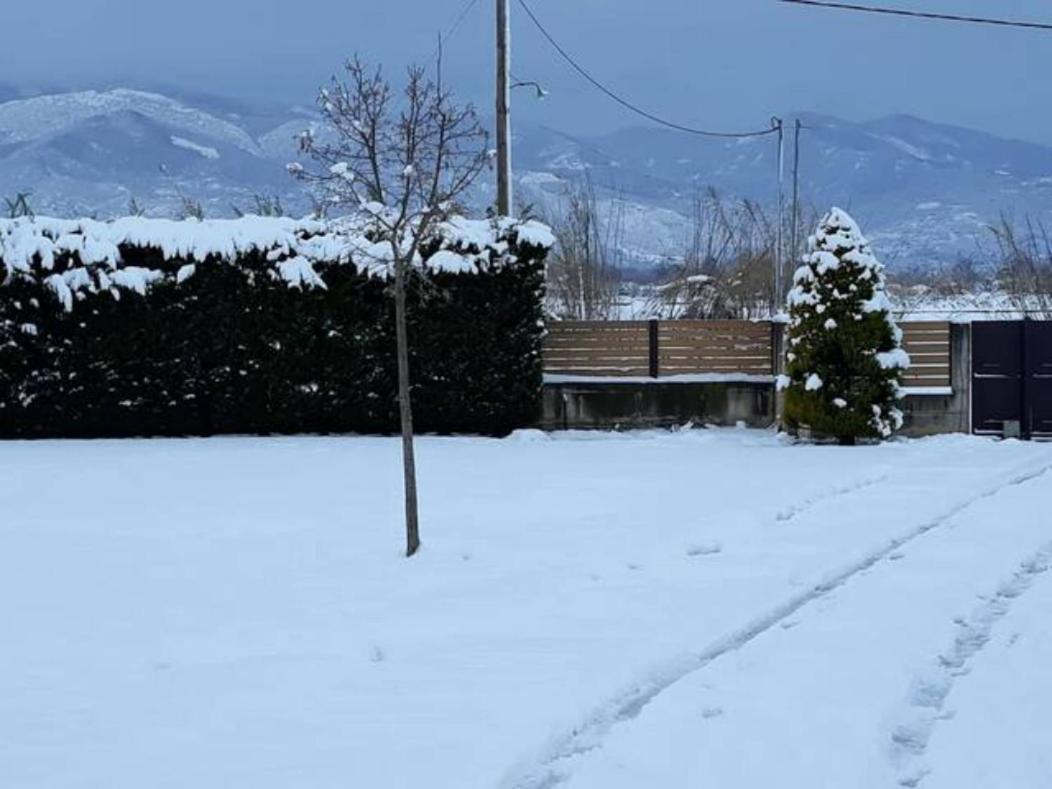 Appartamento Galini Estate Kardítsa Esterno foto