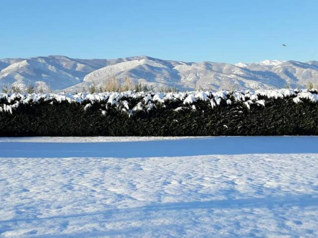 Appartamento Galini Estate Kardítsa Esterno foto