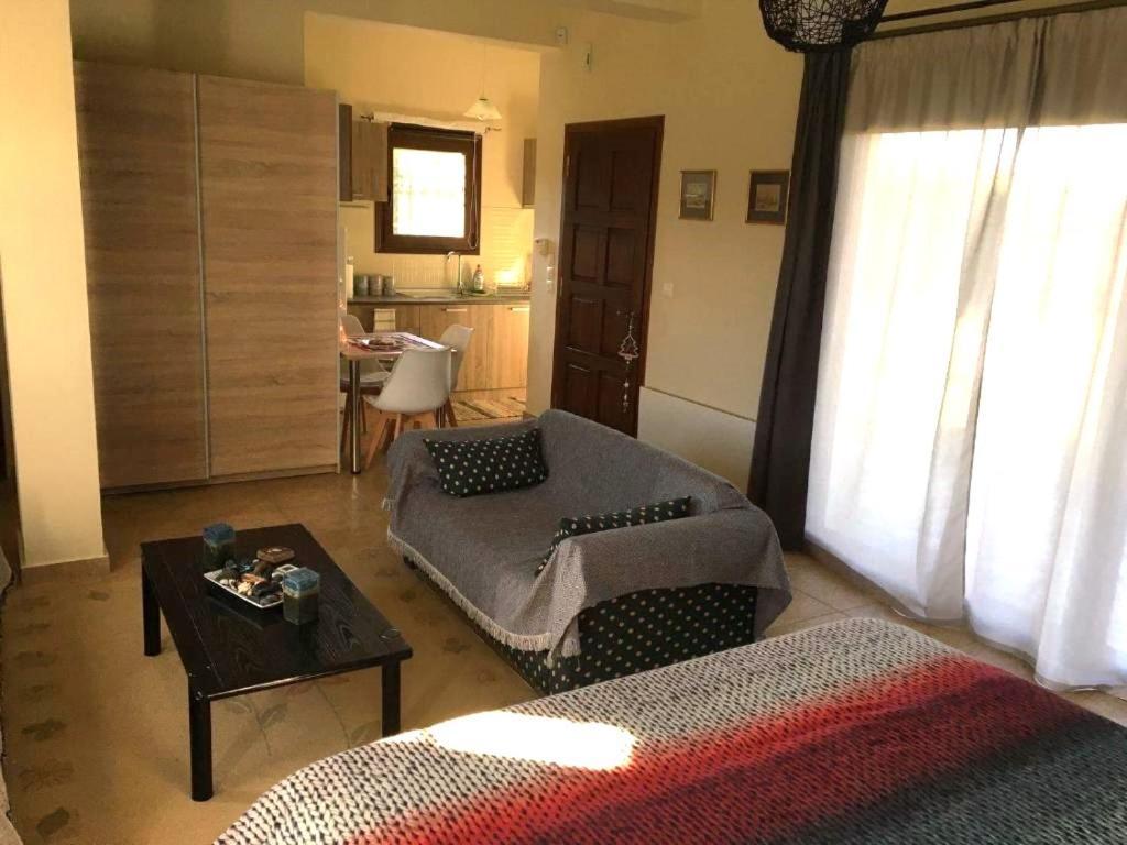 Appartamento Galini Estate Kardítsa Esterno foto